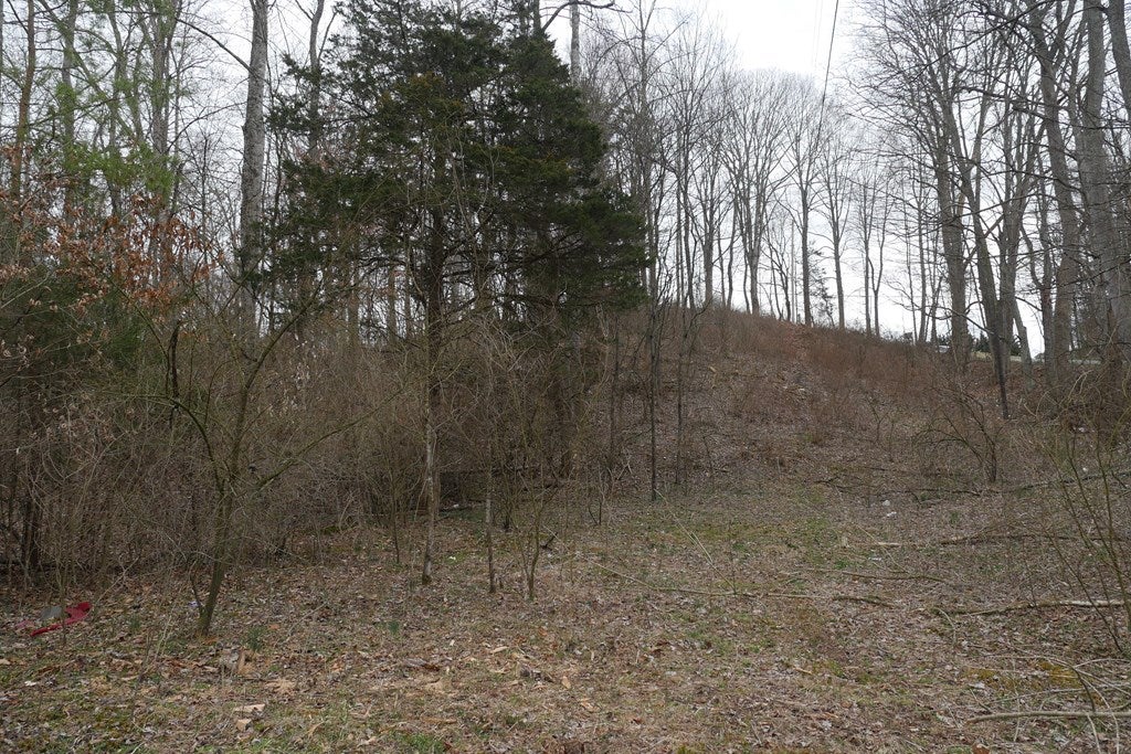 Tbd Old Mill Road, Unit 23 Glade Spring, VA 24340 - Photo 12 of 32 Gallery Image 12