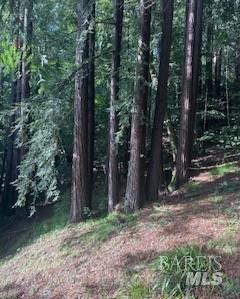 18349 Neeley Road Guerneville, CA 95446 - Photo 16 of 18 a backyard of a house with lots of green space