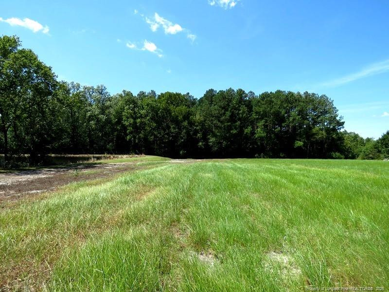 4512 Tobacco Road Orrum, NC 28369 - Photo 7 of 45