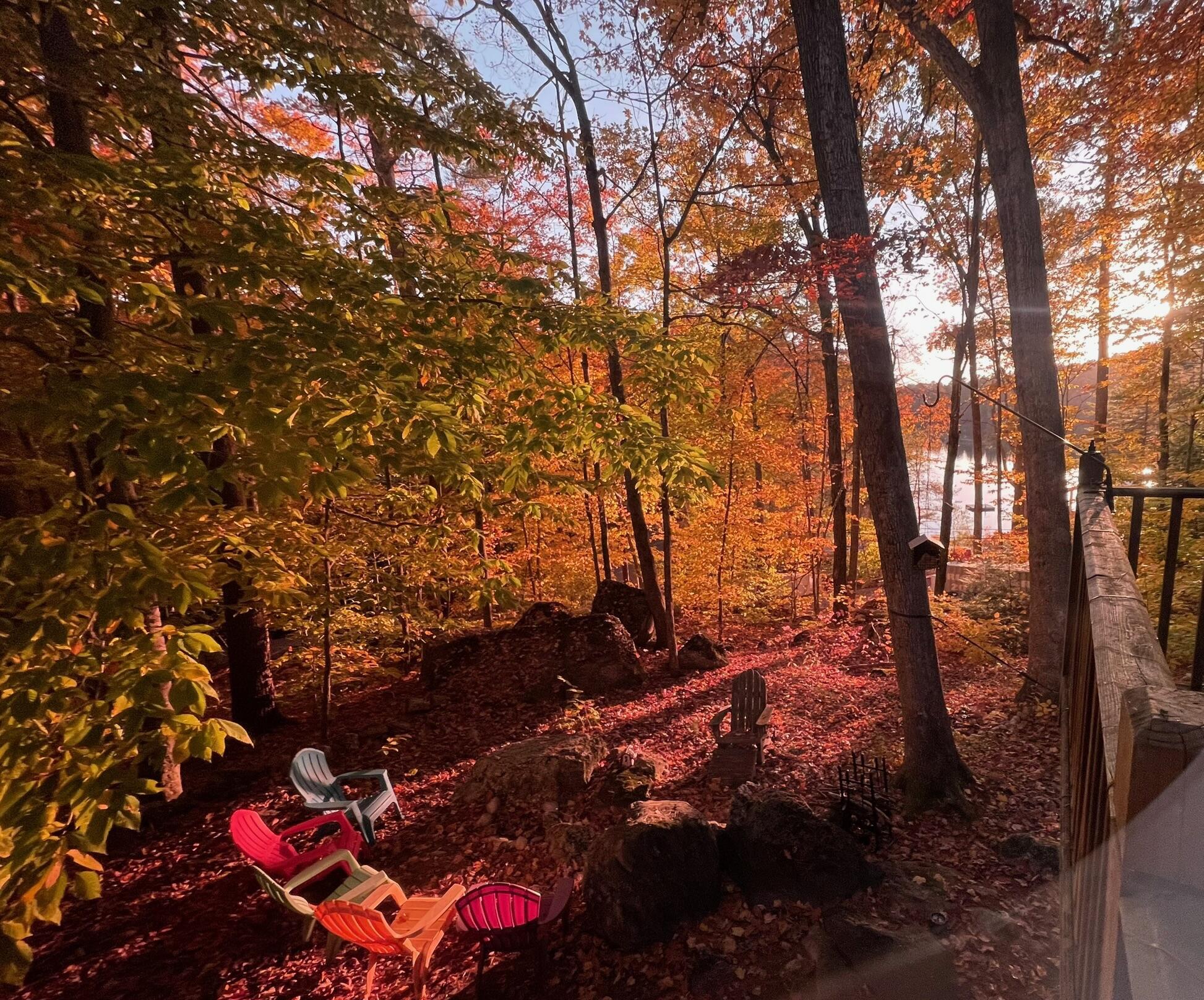 3 Coffee Pond Road Casco, ME 04015 - Photo 40 of 43 IMG_2700