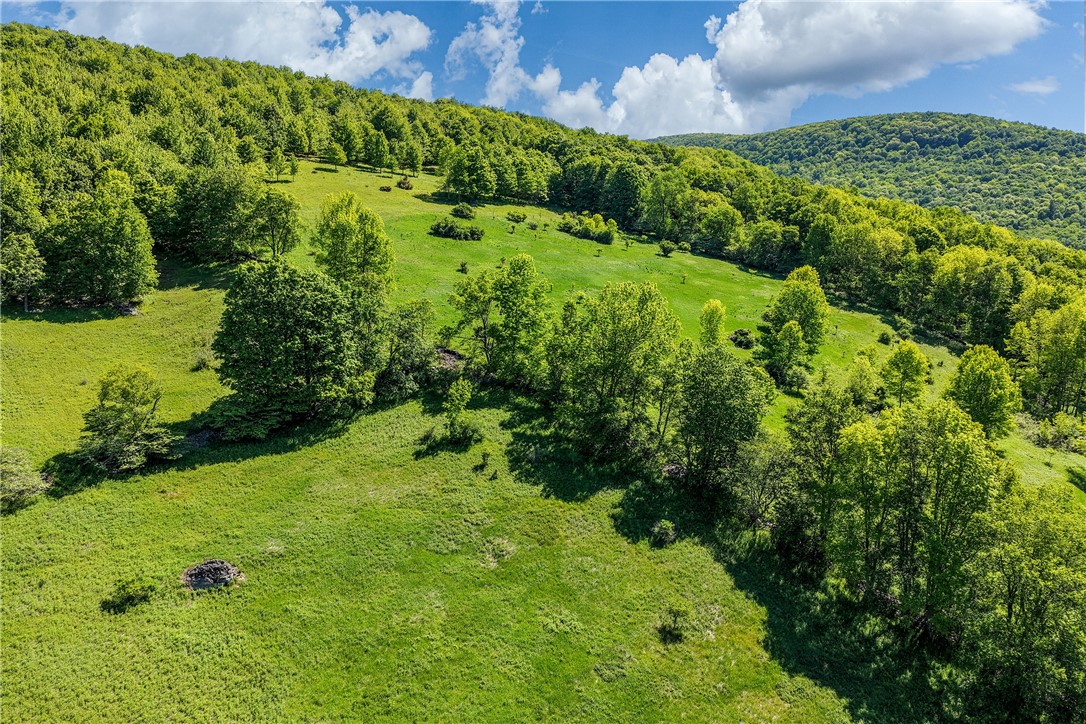 26 Federal Hill Road Delhi, NY 13753 - Photo 47 of 50