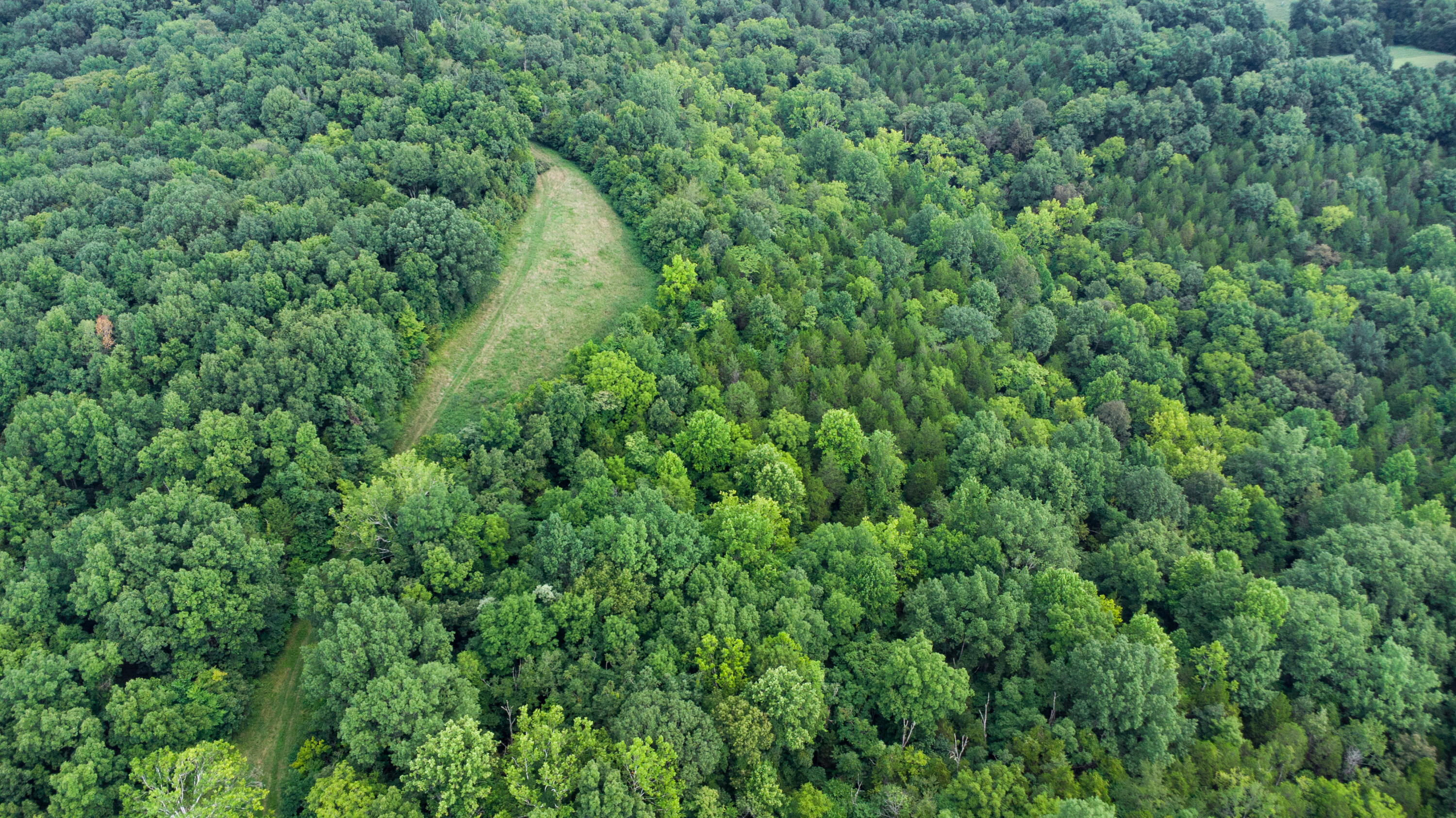 4095 Warsaw Road Dry Ridge, KY 41035 - Photo 11 of 48