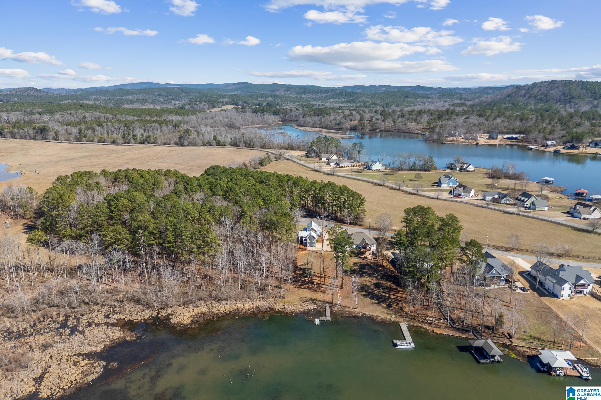 825 Cove Road Sylacauga, AL 35151 - Photo 43 of 53