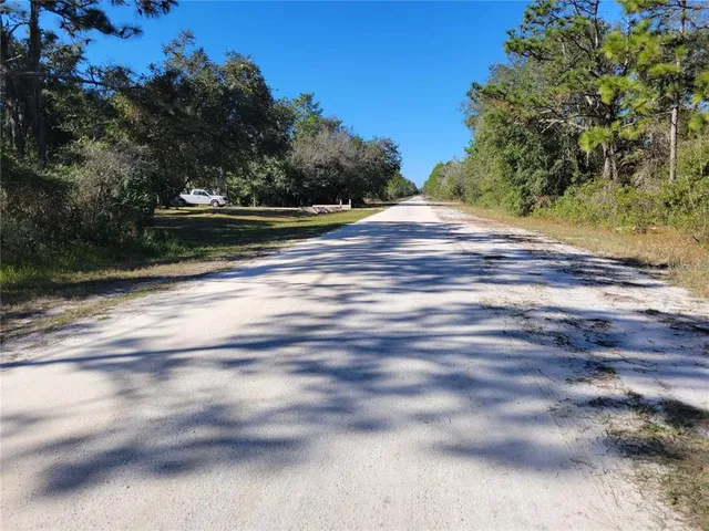 a view of a yard with a trees