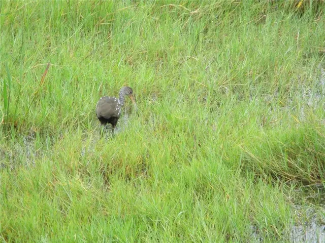 a view of a porch with chairs and backyard