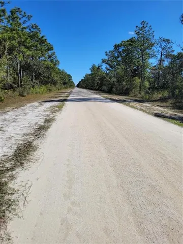 a view of a dry yard with plants and trees