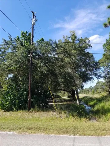 a view of a yard with a tree