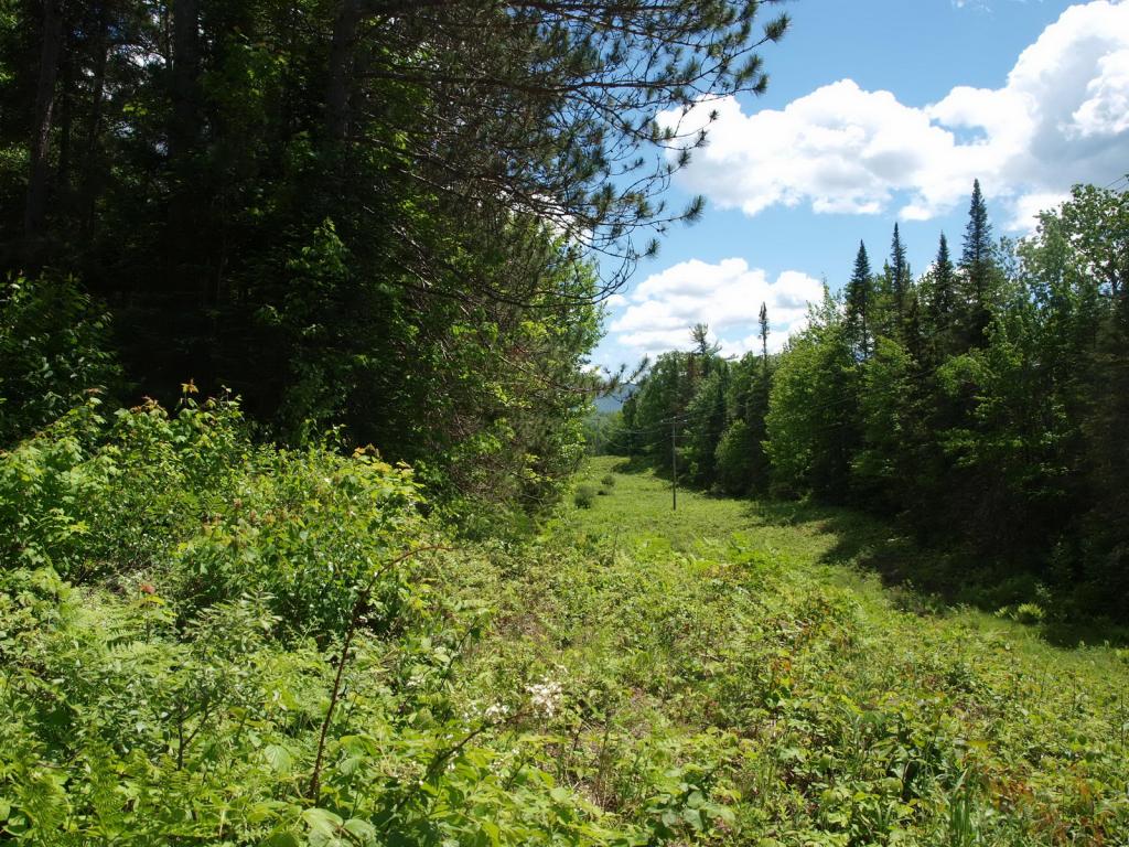 0 Beaver Pond Road Bethlehem, NH 03574 - Photo 2 of 9 Gallery Image 2