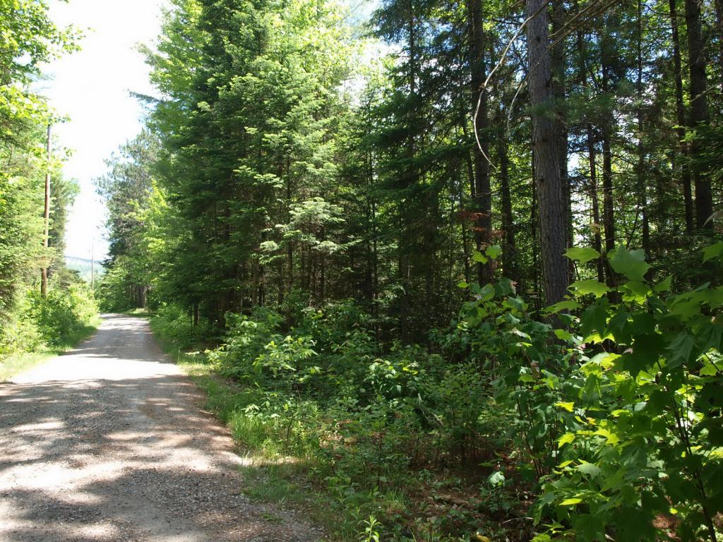 0 Beaver Pond Road Bethlehem, NH 03574 - Photo 8 of 9 Gallery Image 8