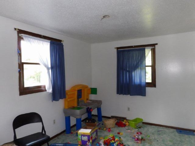 9601 South Banfield Road Dowling, MI 49050 - Photo 11 of 17 Additional Photo