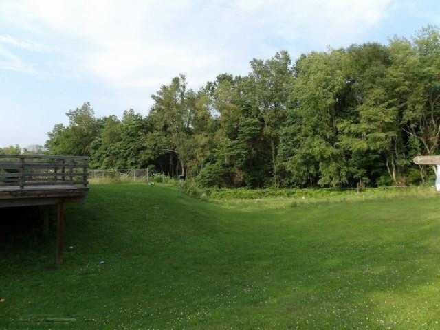 9601 South Banfield Road Dowling, MI 49050 - Photo 17 of 17 Additional Photo