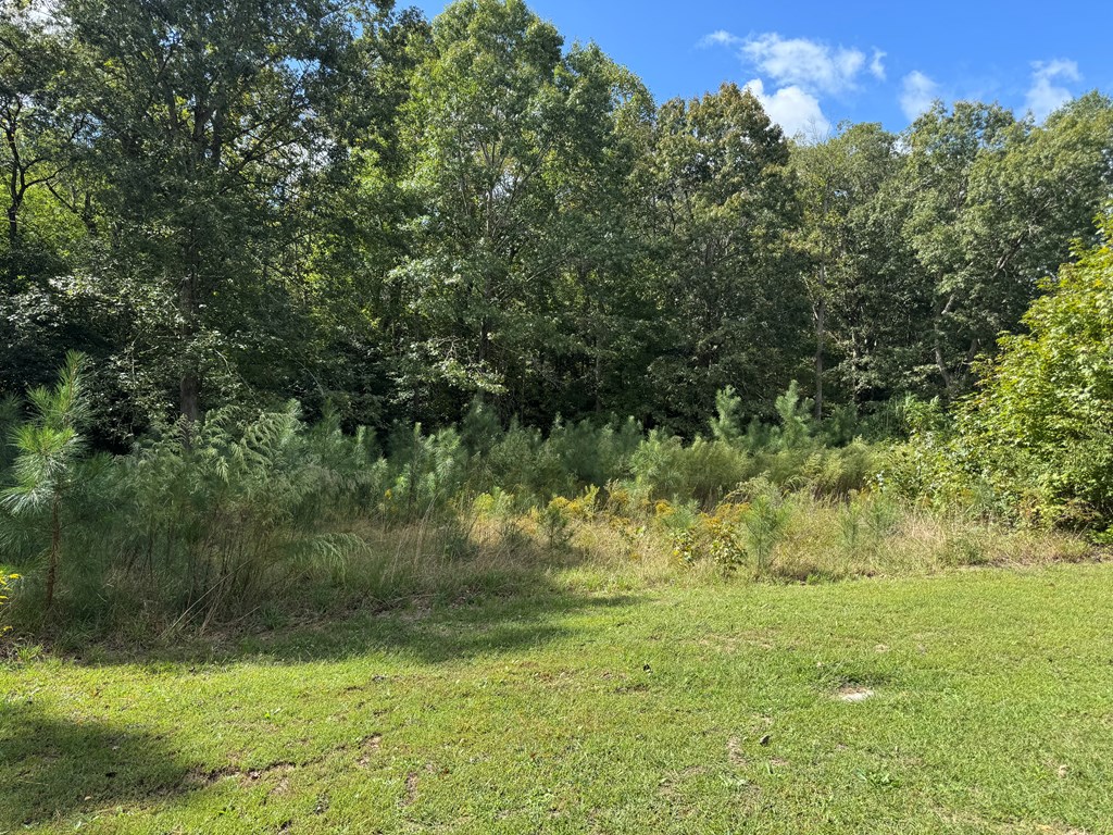 Lot 3 Branch Road, Unit 3B Temperanceville, VA 23442 - Photo 2 of 4