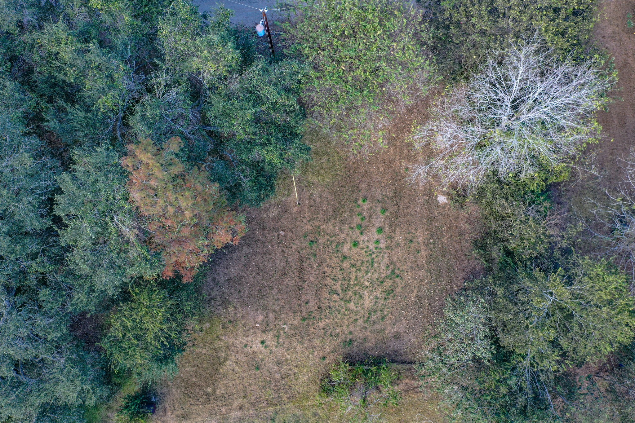 1617 Azalea Drive Wharton, TX 77488 - Photo 14 of 14