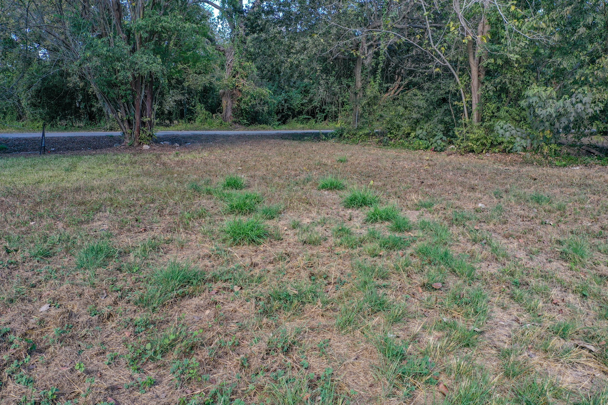 1617 Azalea Drive Wharton, TX 77488 - Photo 8 of 14