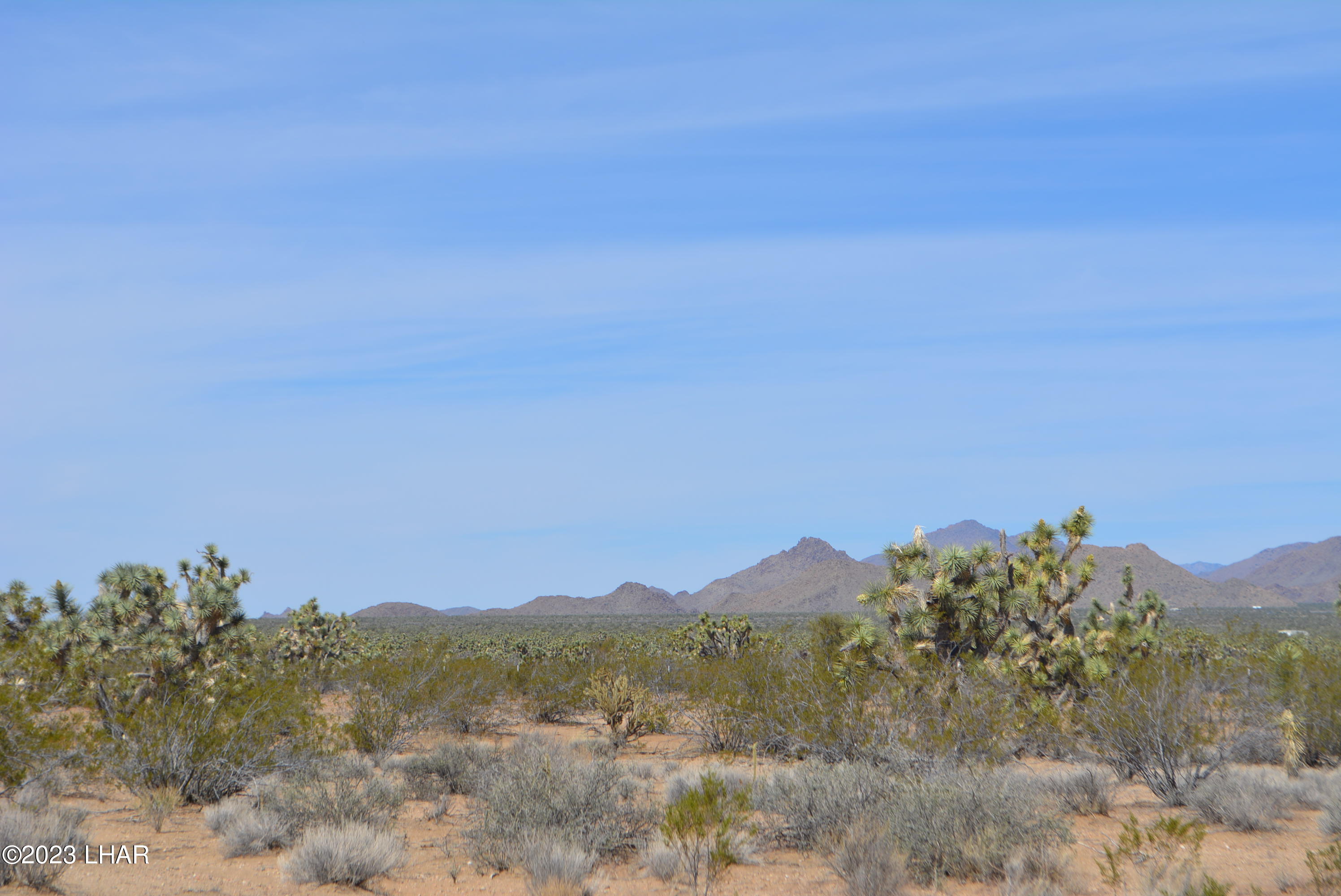 2195 South Six Shooter Road Yucca, AZ 86438 - Photo 3 of 16 DSC_0862