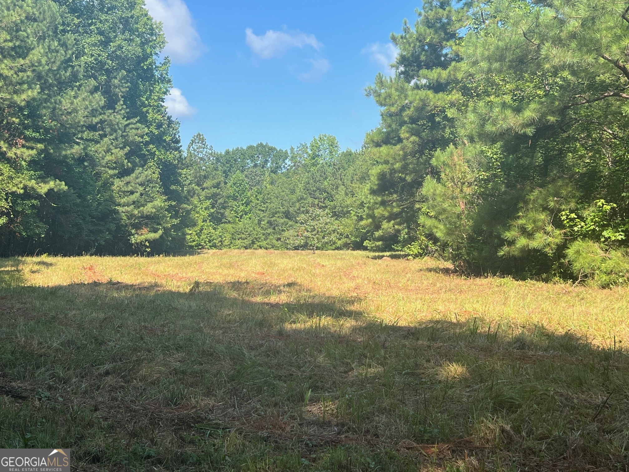 0 Dickson Road Rutledge, GA 30663 - Photo 11 of 46 a view of outdoor space and yard