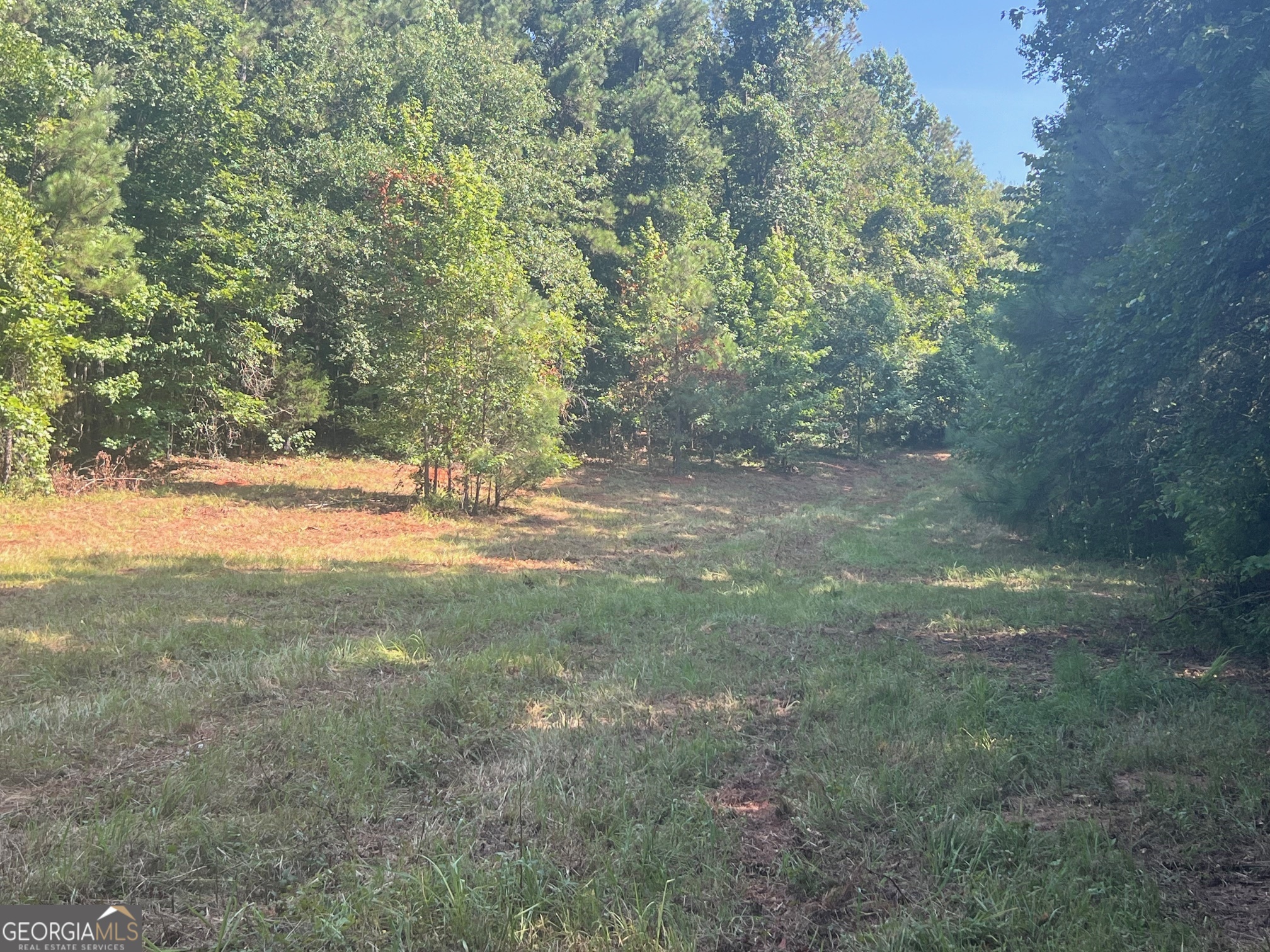 0 Dickson Road Rutledge, GA 30663 - Photo 12 of 46 a view of a yard with a tree