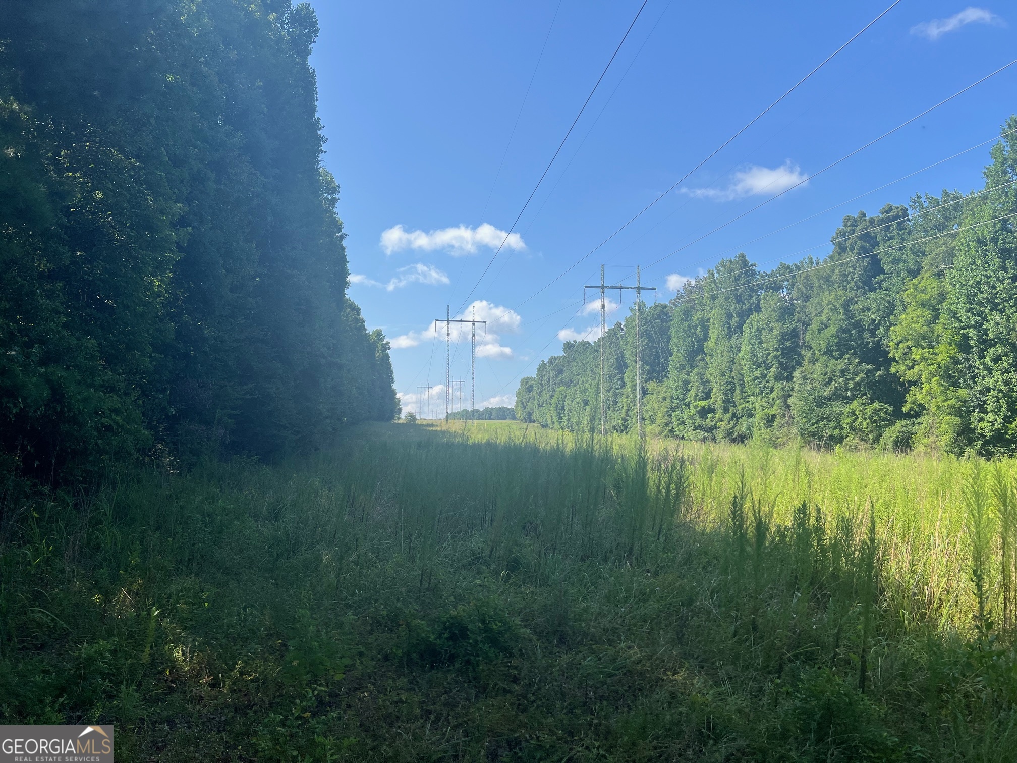 0 Dickson Road Rutledge, GA 30663 - Photo 13 of 46 a view of a lake in middle of the house
