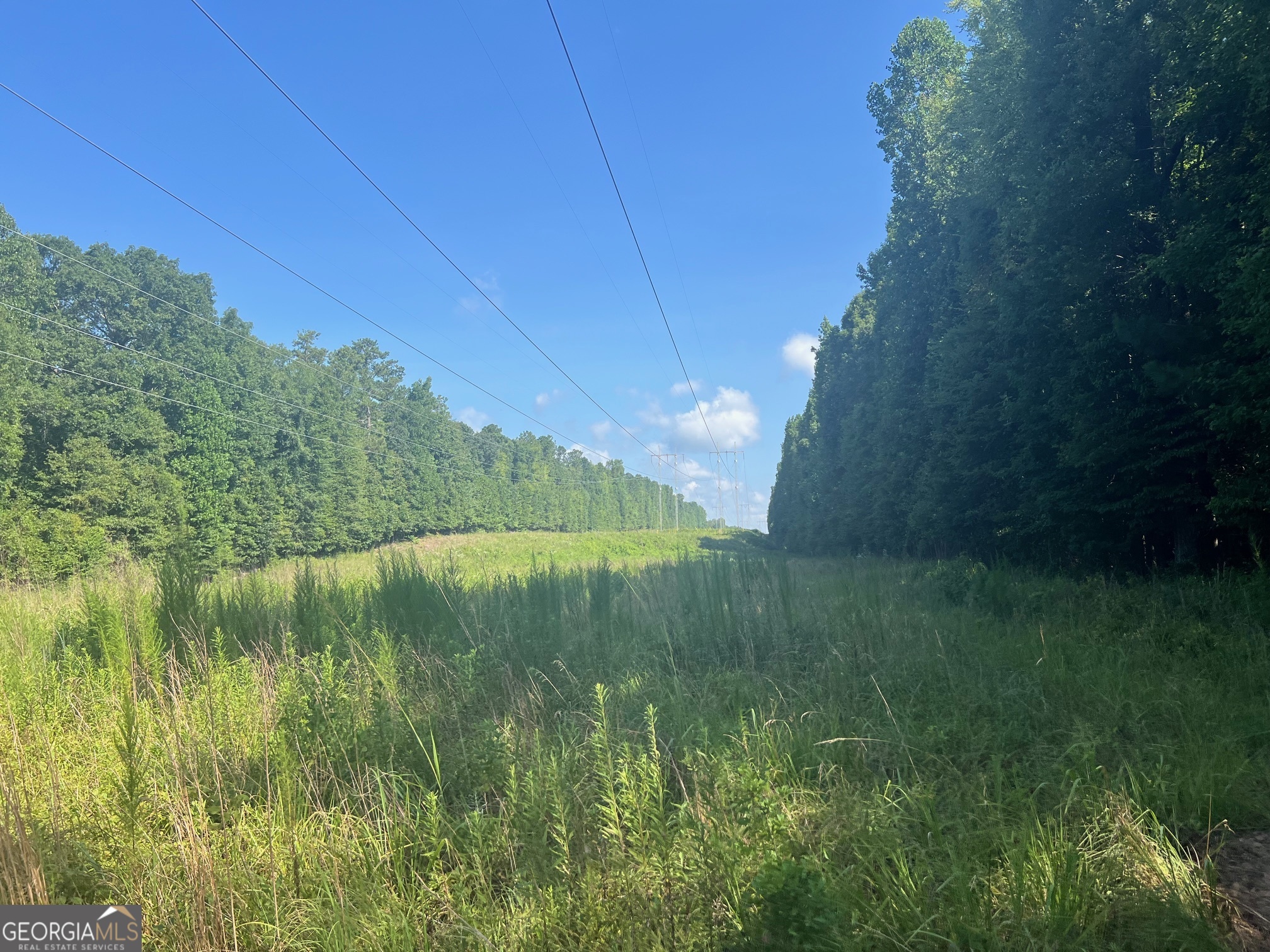 0 Dickson Road Rutledge, GA 30663 - Photo 14 of 46 a view of a lake view with a big yard