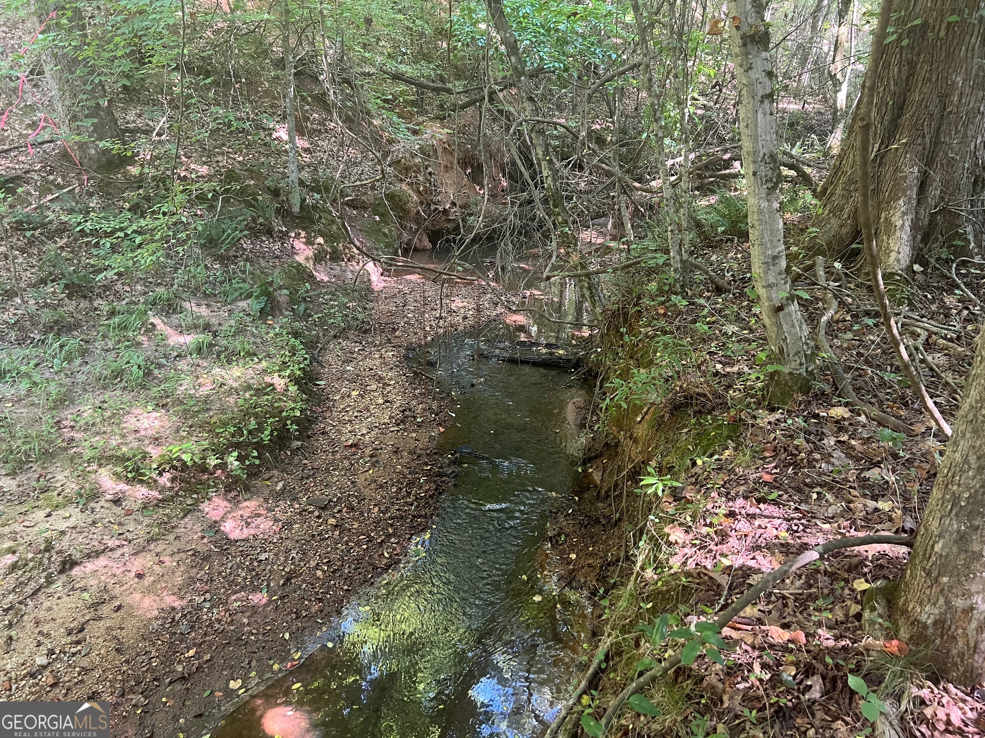 0 Dickson Road Rutledge, GA 30663 - Photo 15 of 46 a view of lake