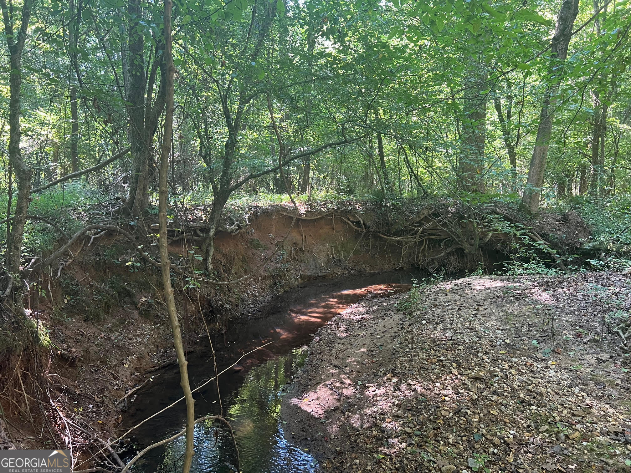 0 Dickson Road Rutledge, GA 30663 - Photo 16 of 46 a backyard of a house with lots of green space