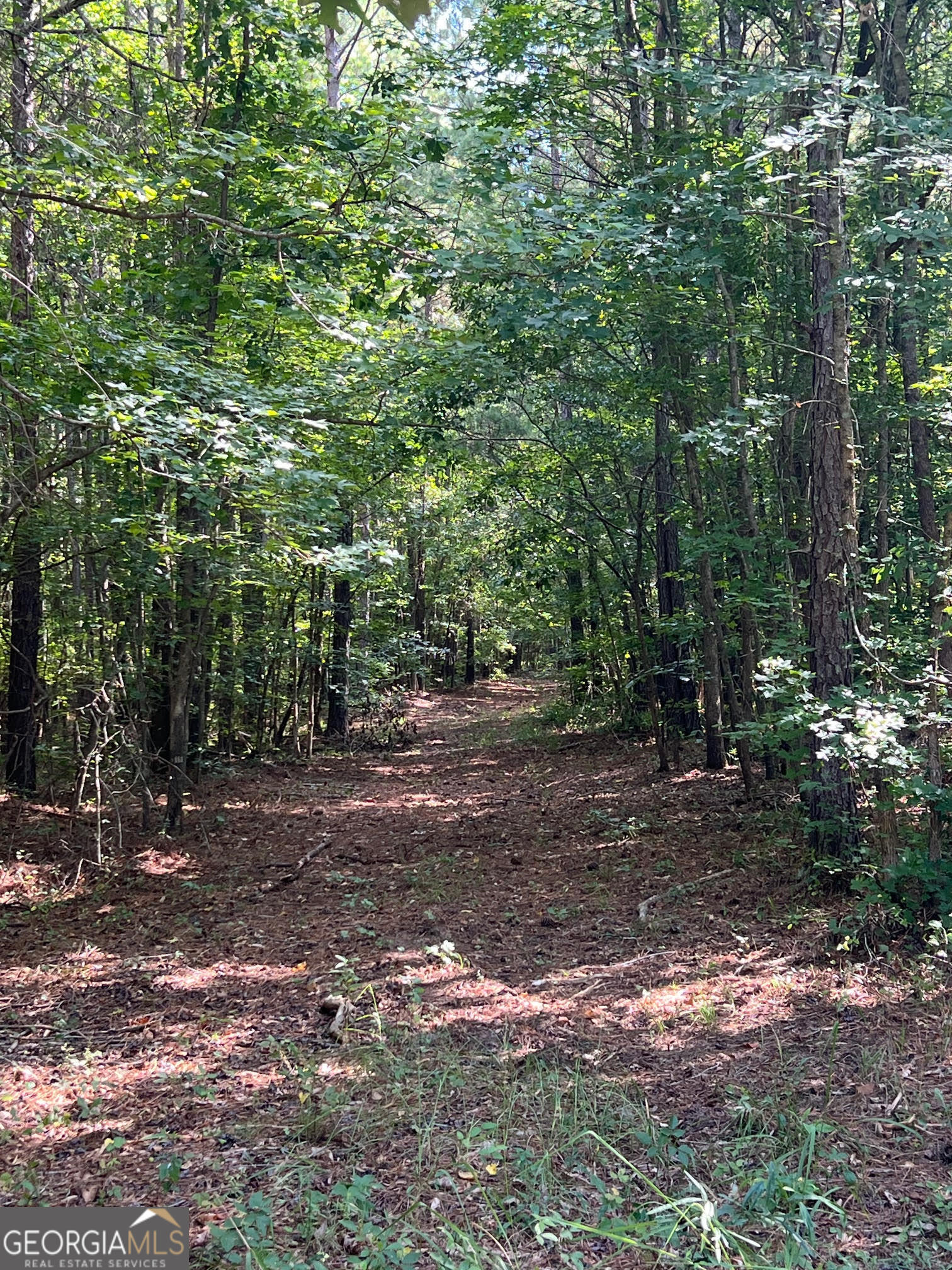0 Dickson Road Rutledge, GA 30663 - Photo 17 of 46 a view of outdoor space with trees