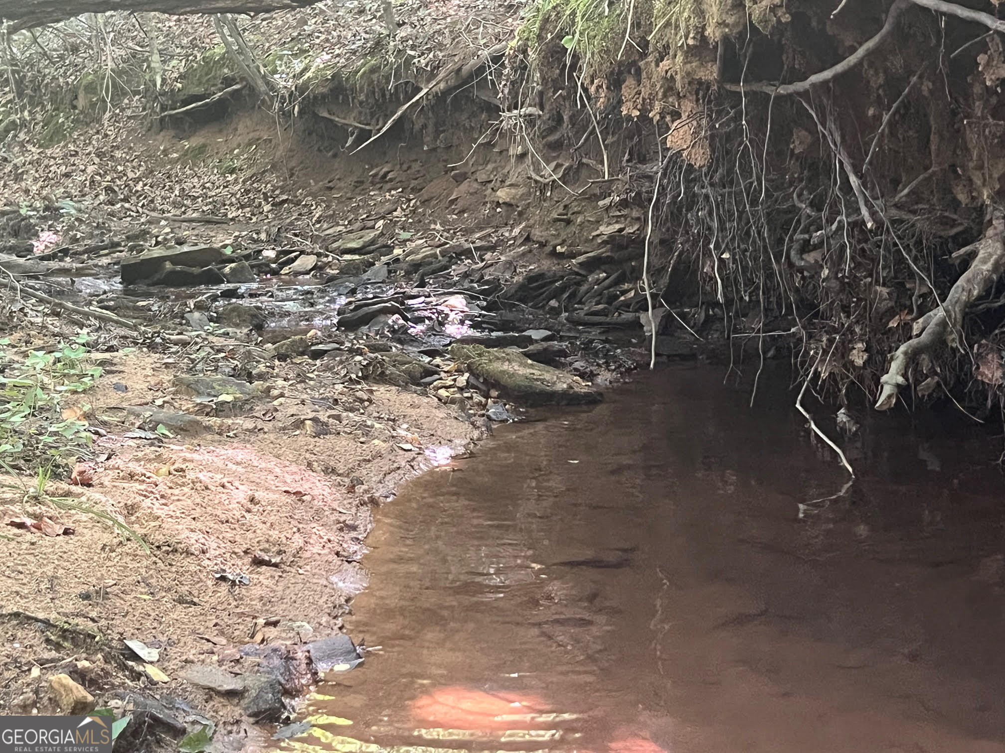 0 Dickson Road Rutledge, GA 30663 - Photo 18 of 46 a backyard of a house