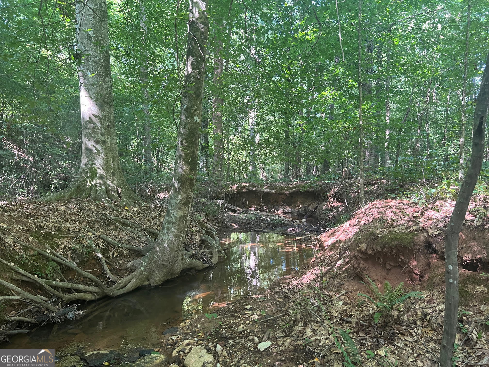 0 Dickson Road Rutledge, GA 30663 - Photo 20 of 46 a view of lake with green space