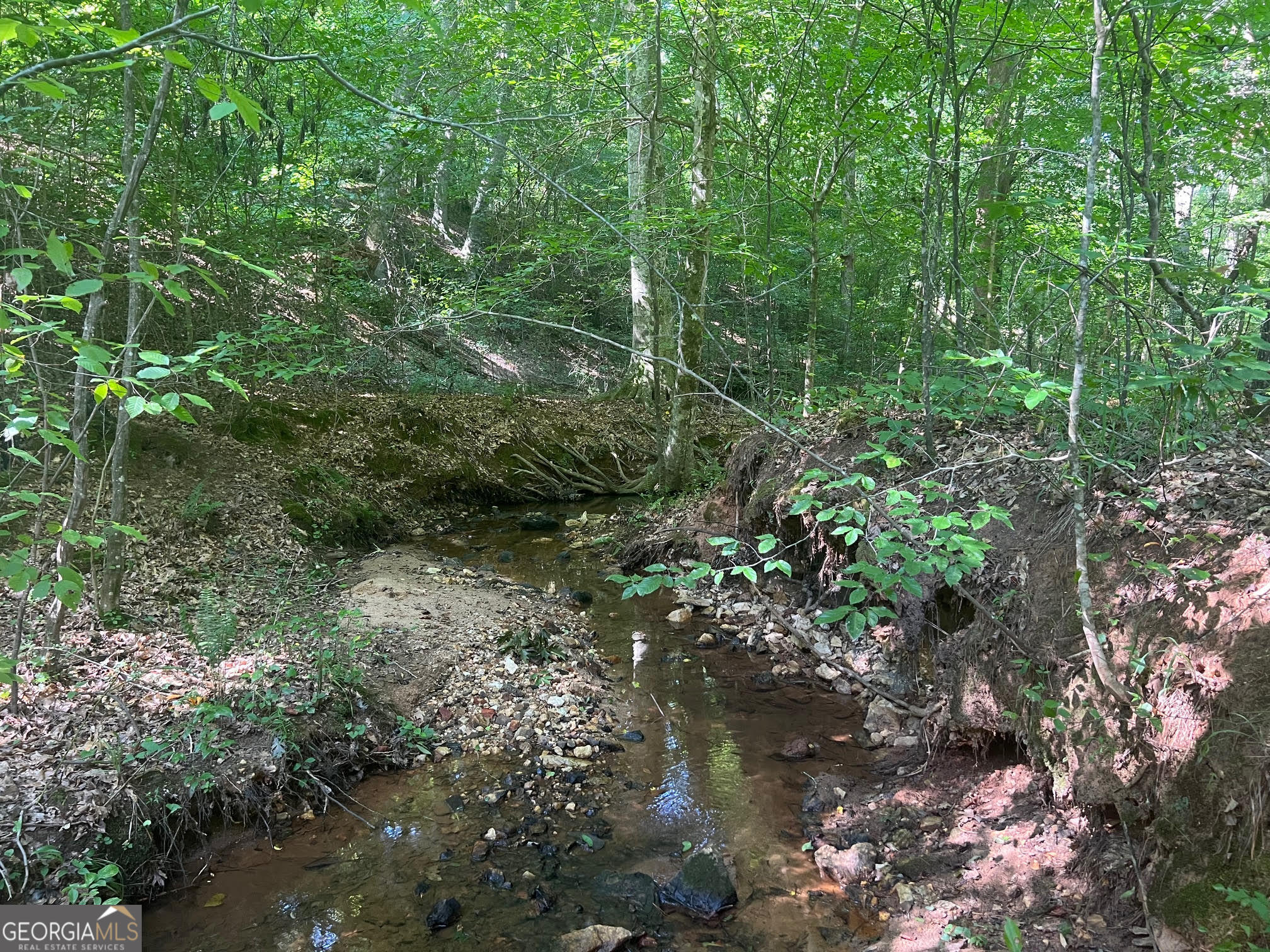 0 Dickson Road Rutledge, GA 30663 - Photo 21 of 46 a view of a forest with lots of trees