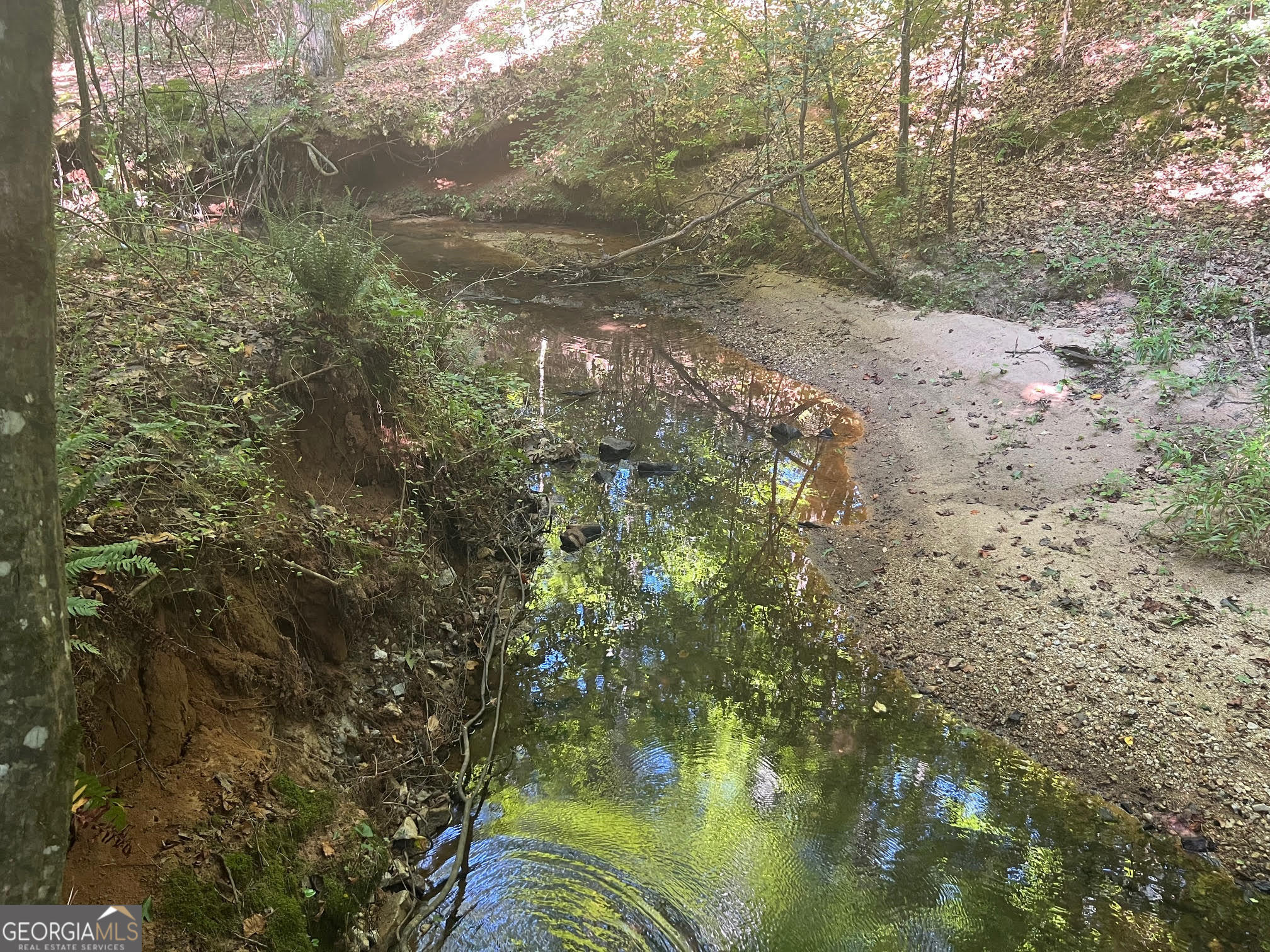 0 Dickson Road Rutledge, GA 30663 - Photo 22 of 46 a view of a lake from a yard