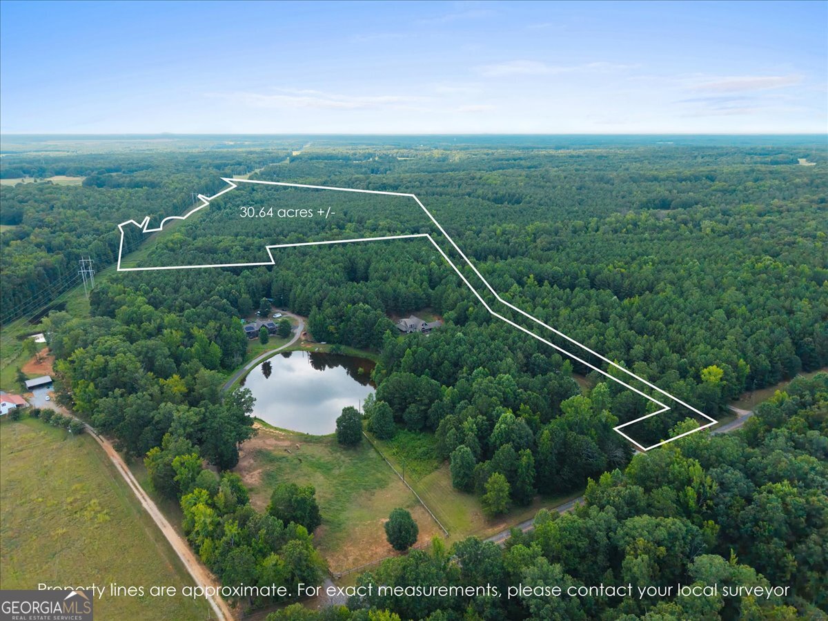 0 Dickson Road Rutledge, GA 30663 - Photo 26 of 46 a view of a city with lush green forest