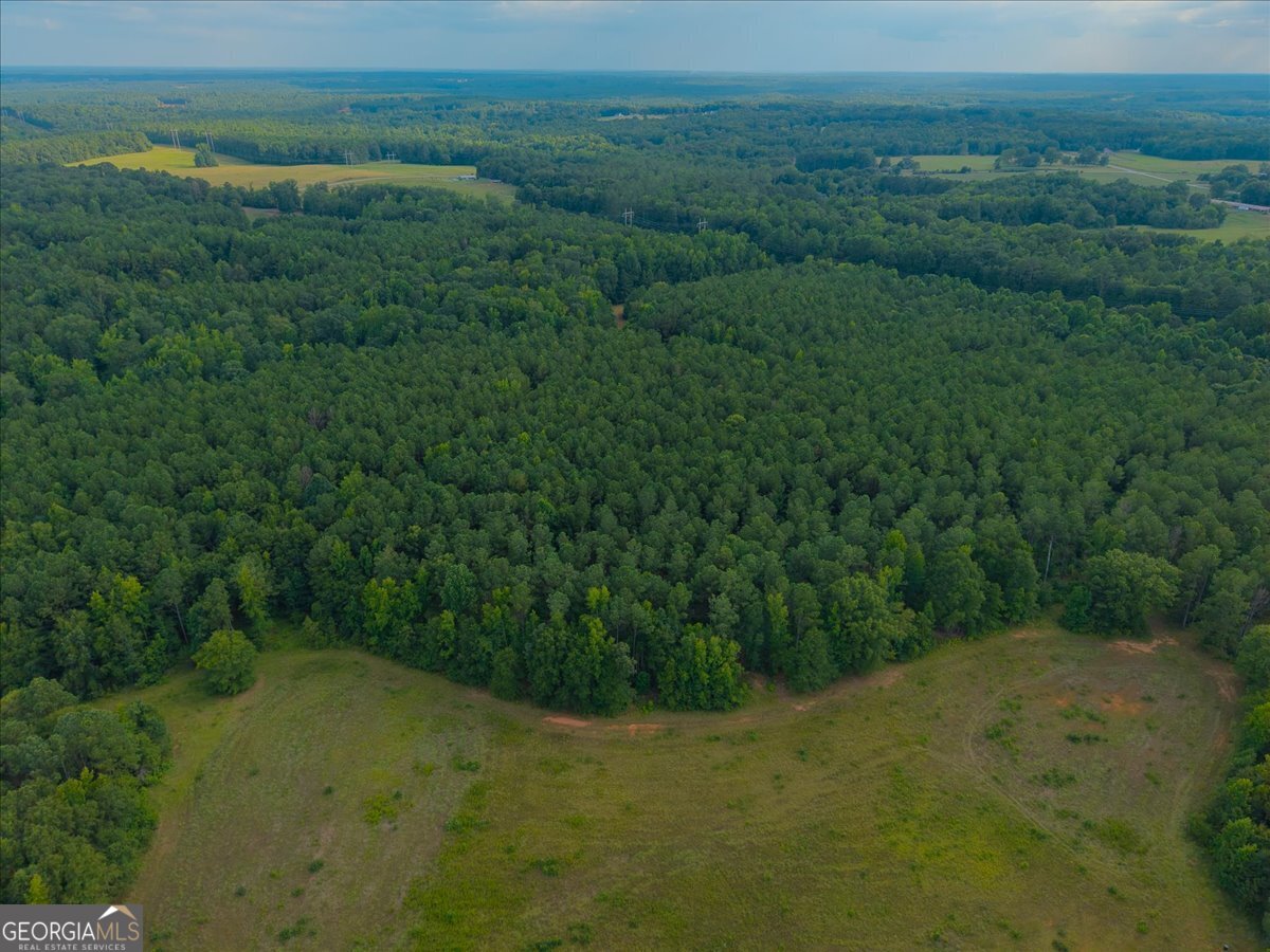 0 Dickson Road Rutledge, GA 30663 - Photo 28 of 46 a view of a field with an ocean
