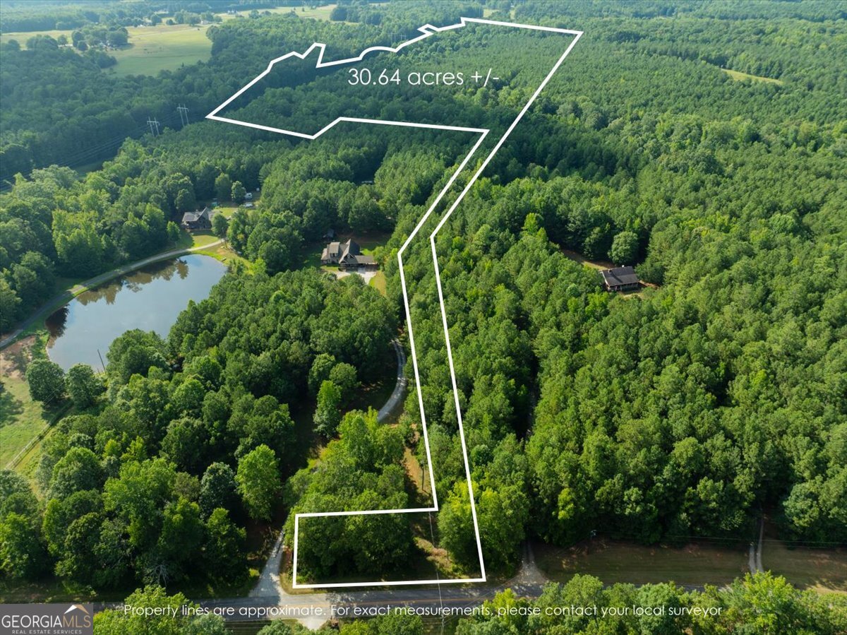 0 Dickson Road Rutledge, GA 30663 - Photo 29 of 46 a view of a yard with yellow house