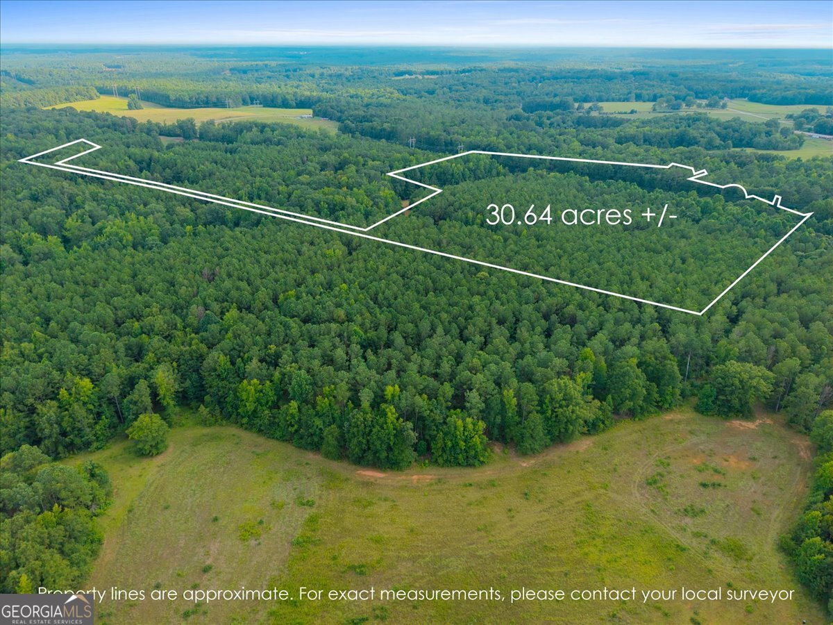 0 Dickson Road Rutledge, GA 30663 - Photo 3 of 46 a view of a field with a lush green forest