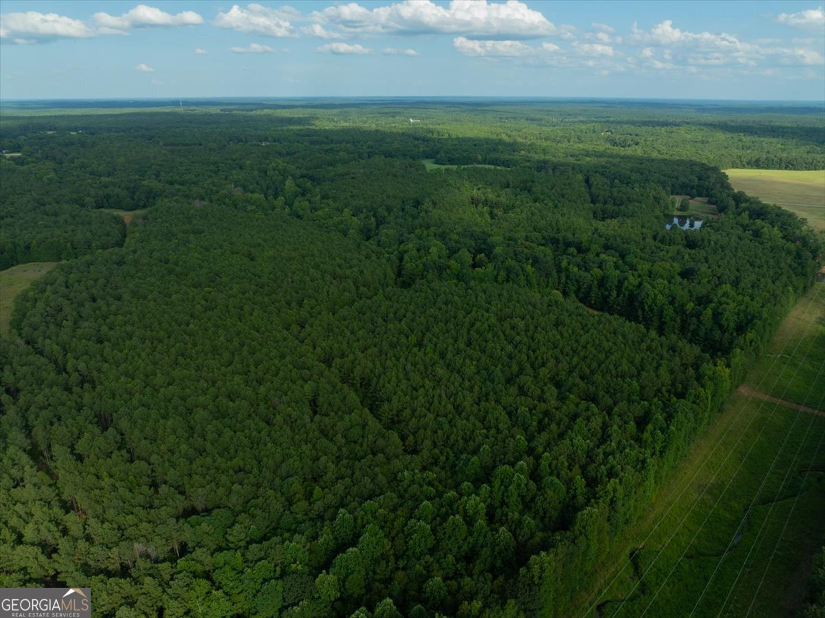 0 Dickson Road Rutledge, GA 30663 - Photo 33 of 46 a view of a green field with lots of bushes