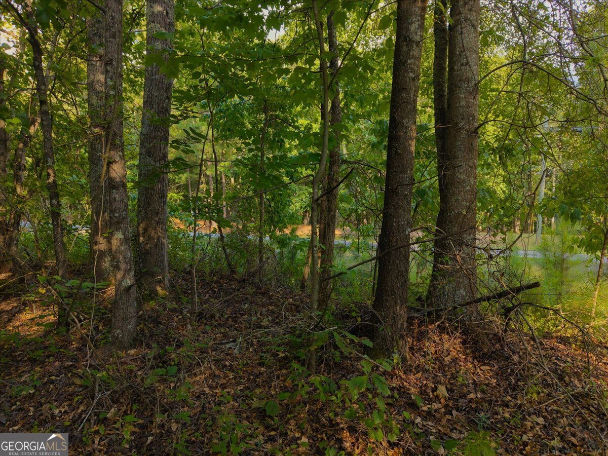 0 Dickson Road Rutledge, GA 30663 - Photo 35 of 46 a view of a forest with trees