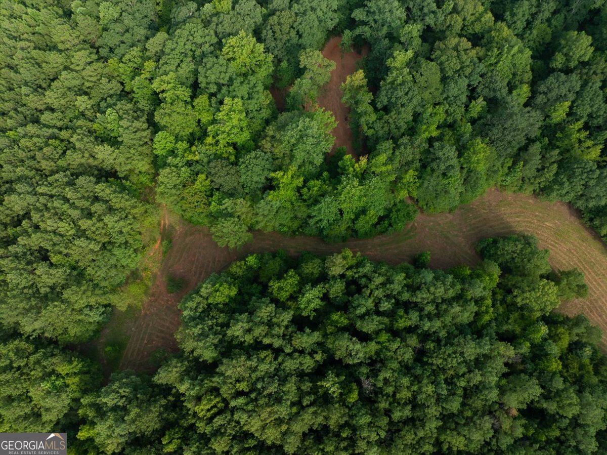 0 Dickson Road Rutledge, GA 30663 - Photo 37 of 46 an aerial view of residential house with outdoor space and trees all around
