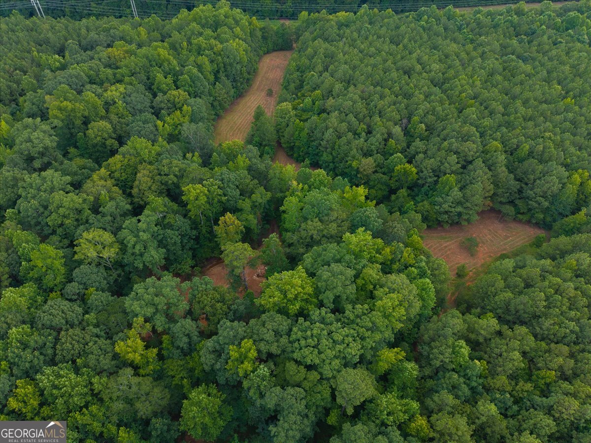 0 Dickson Road Rutledge, GA 30663 - Photo 38 of 46 an aerial view of residential house with outdoor space and trees all around