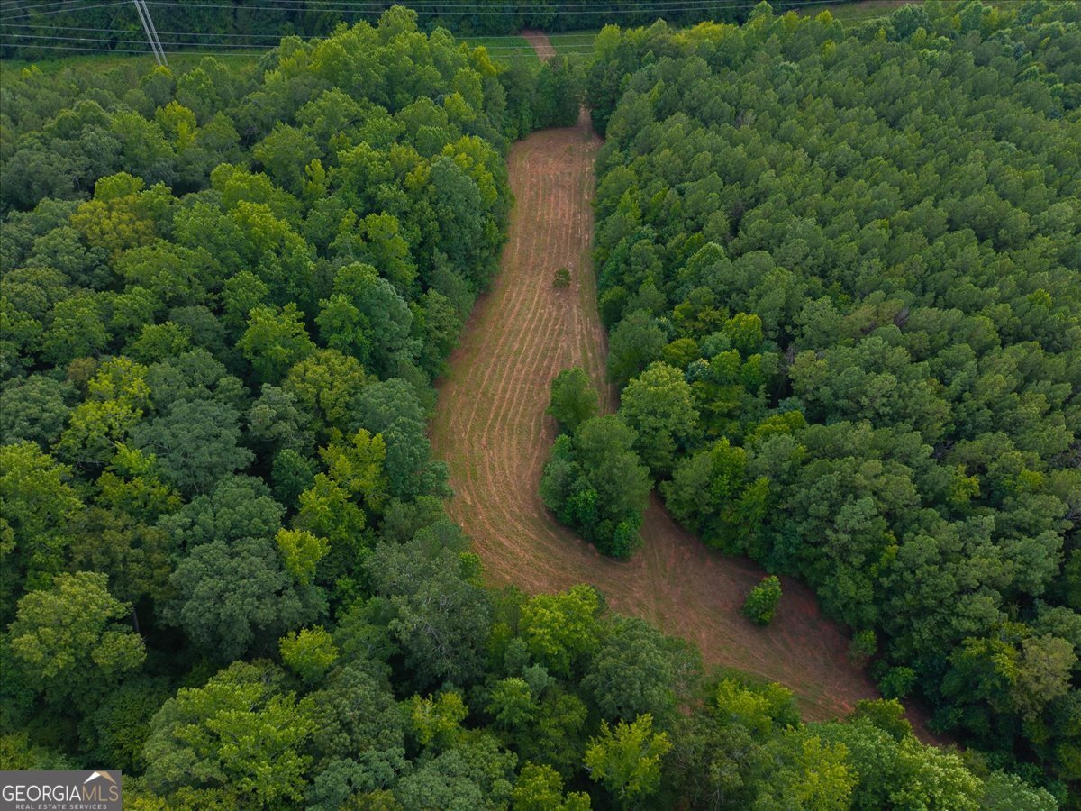 0 Dickson Road Rutledge, GA 30663 - Photo 39 of 46 an aerial view of a house with a yard and large tree
