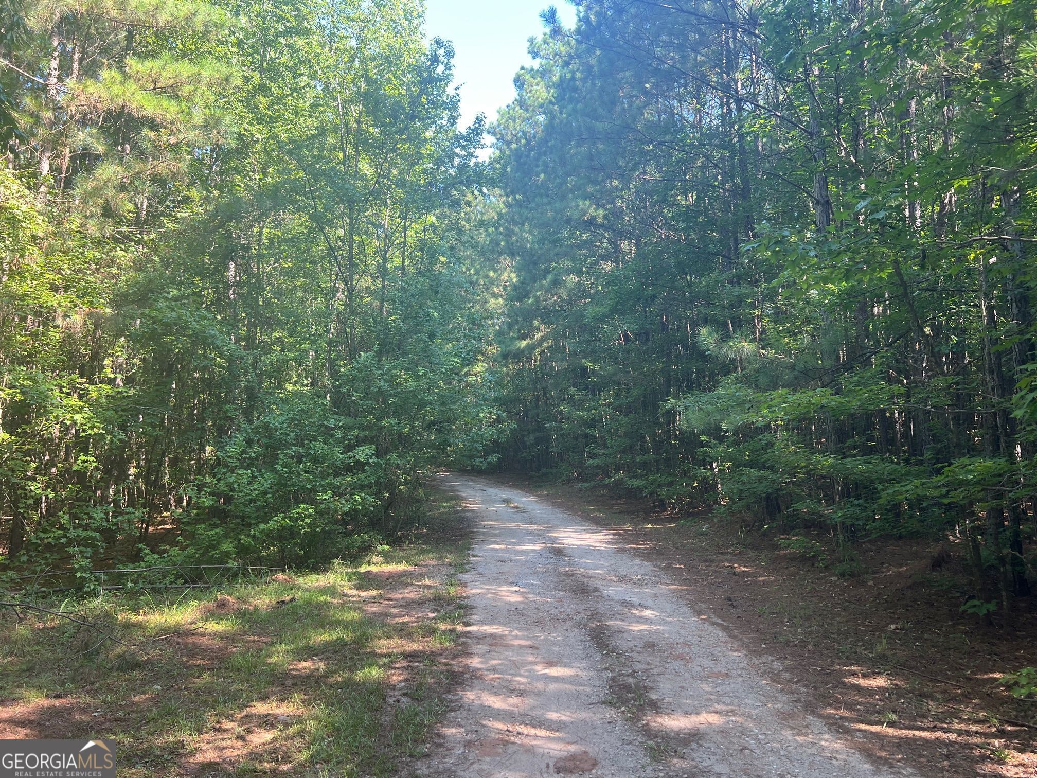 0 Dickson Road Rutledge, GA 30663 - Photo 4 of 46 a view of a forest with trees in front of it