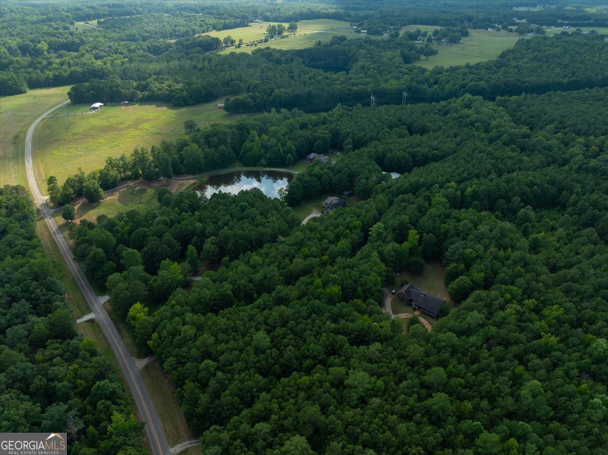 0 Dickson Road Rutledge, GA 30663 - Photo 41 of 46 an aerial view of residential houses with outdoor space and trees