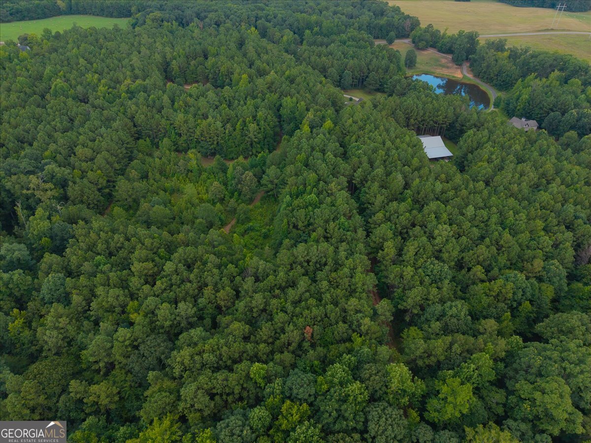 0 Dickson Road Rutledge, GA 30663 - Photo 43 of 46 an aerial view of residential house with outdoor space and trees all around