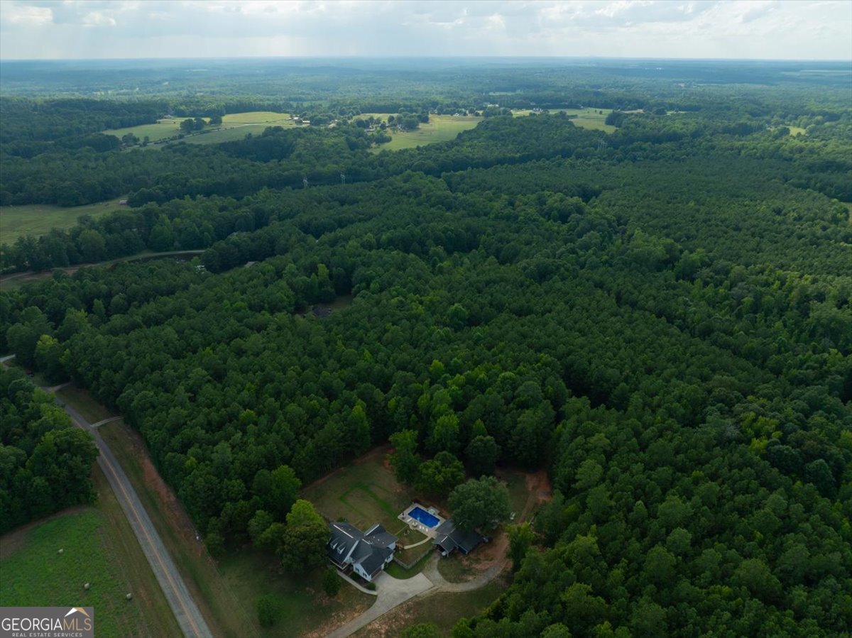 0 Dickson Road Rutledge, GA 30663 - Photo 44 of 46 a view of a city with lush green forest