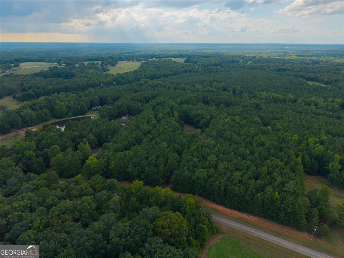0 Dickson Road Rutledge, GA 30663 - Photo 45 of 46 a view of a field with an ocean
