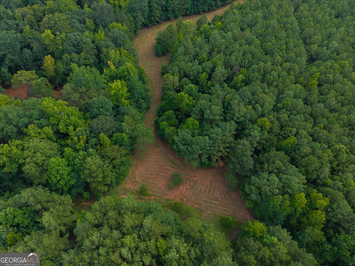 0 Dickson Road Rutledge, GA 30663 - Photo 46 of 46 a view of a lush green forest with lots of trees
