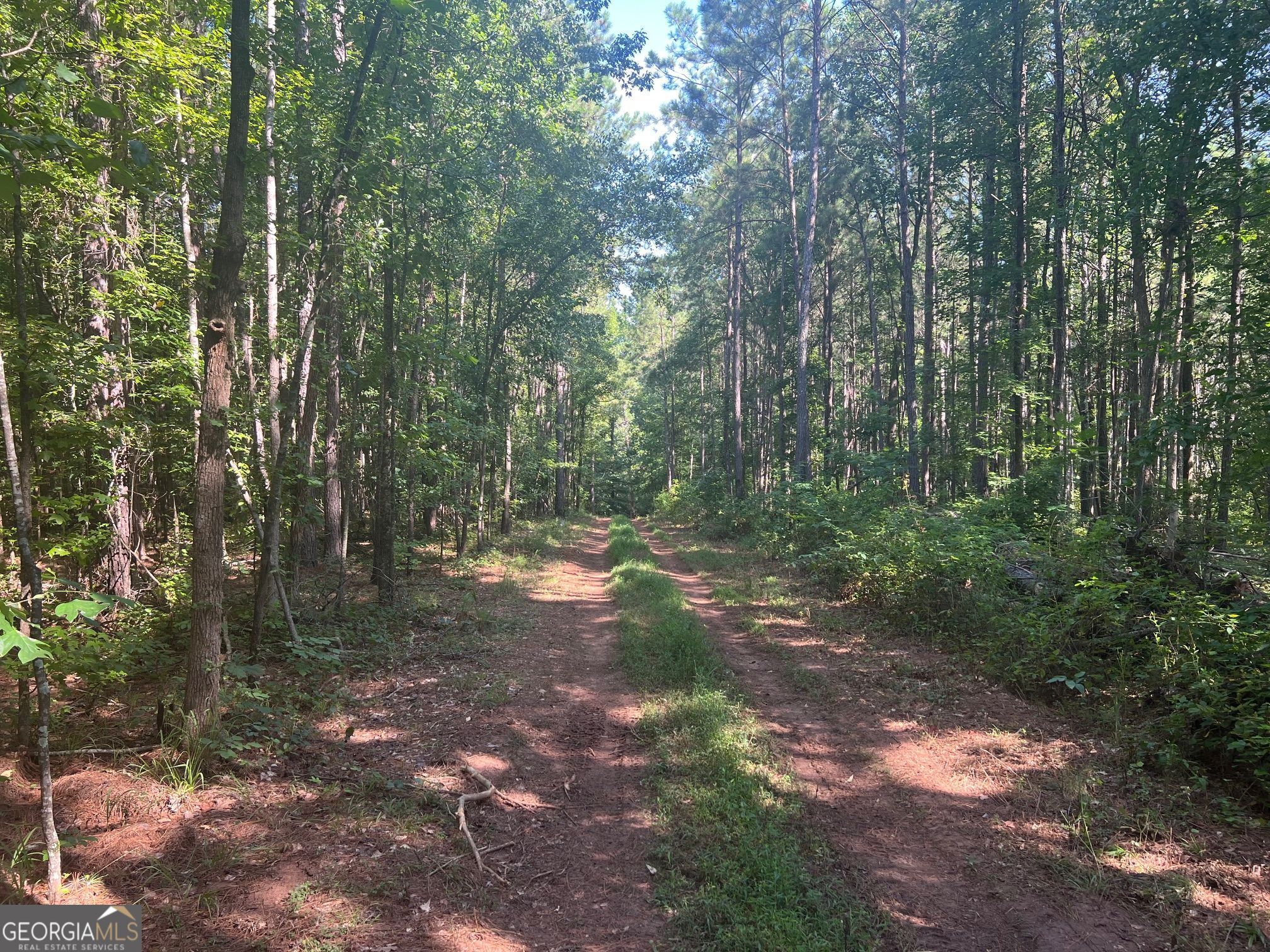 0 Dickson Road Rutledge, GA 30663 - Photo 5 of 46 a view of a forest with trees