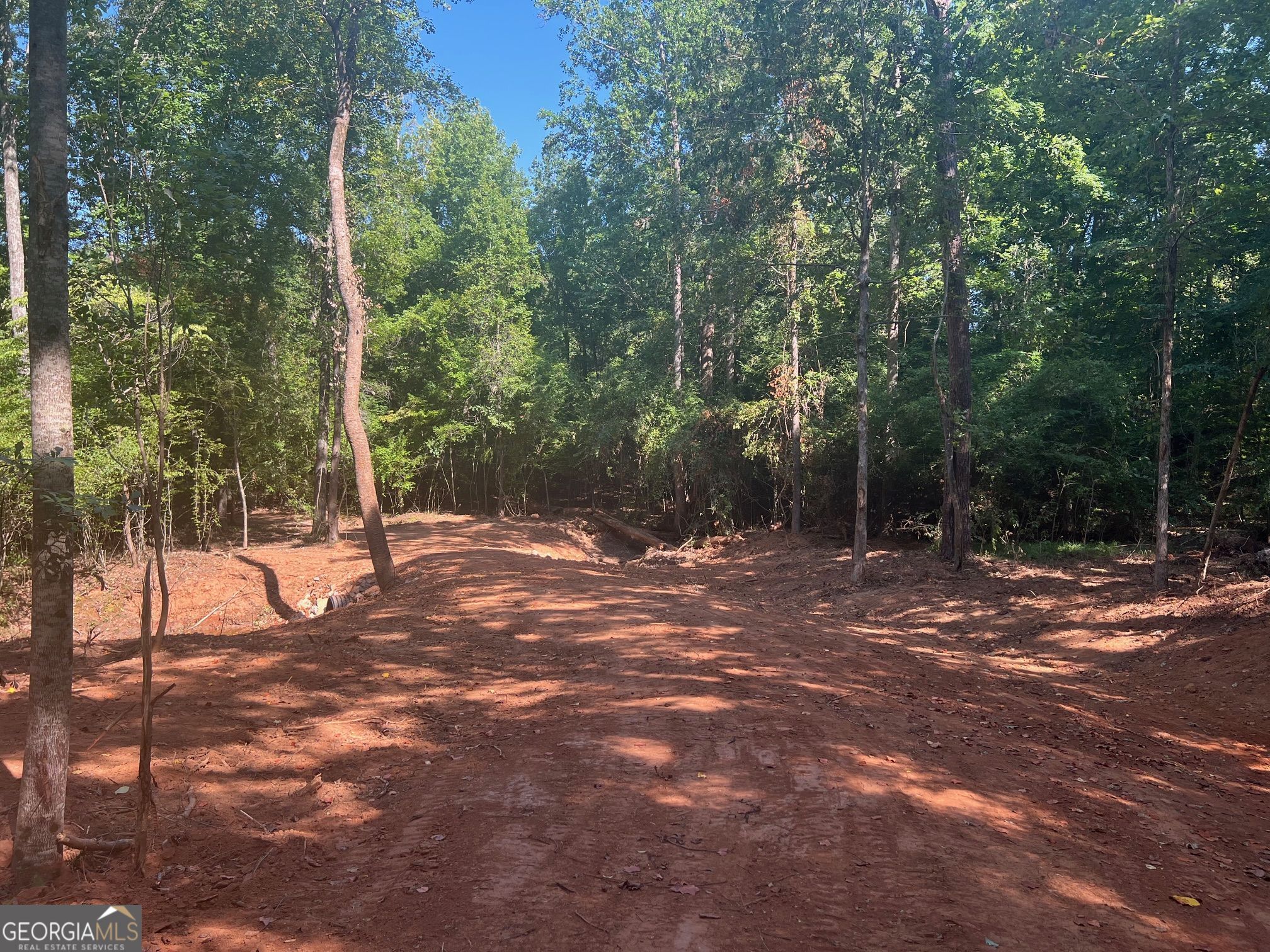 0 Dickson Road Rutledge, GA 30663 - Photo 6 of 46 a view of a tree with a yard