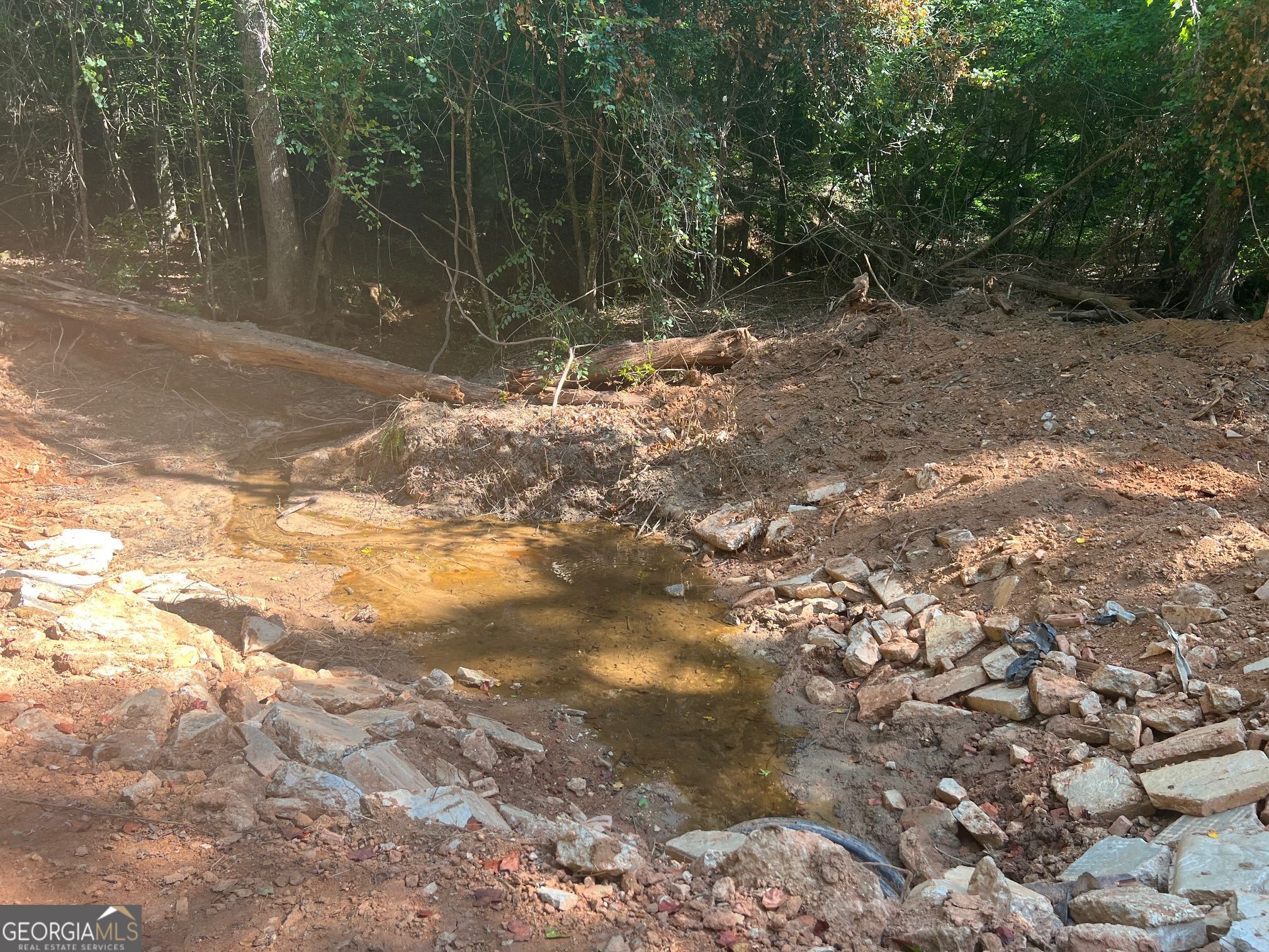0 Dickson Road Rutledge, GA 30663 - Photo 7 of 46 a view of a yard with a tree