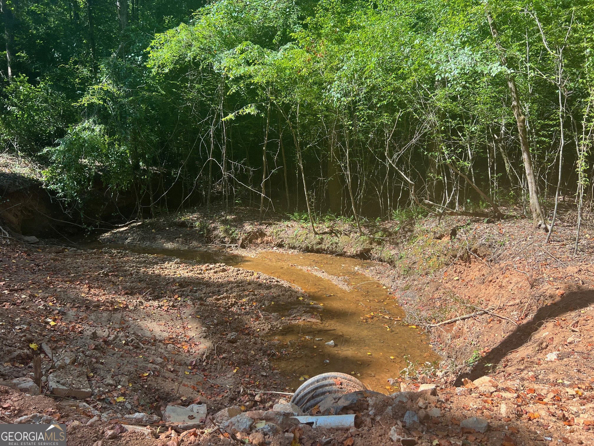 0 Dickson Road Rutledge, GA 30663 - Photo 8 of 46 a backyard of a house with lots of green space