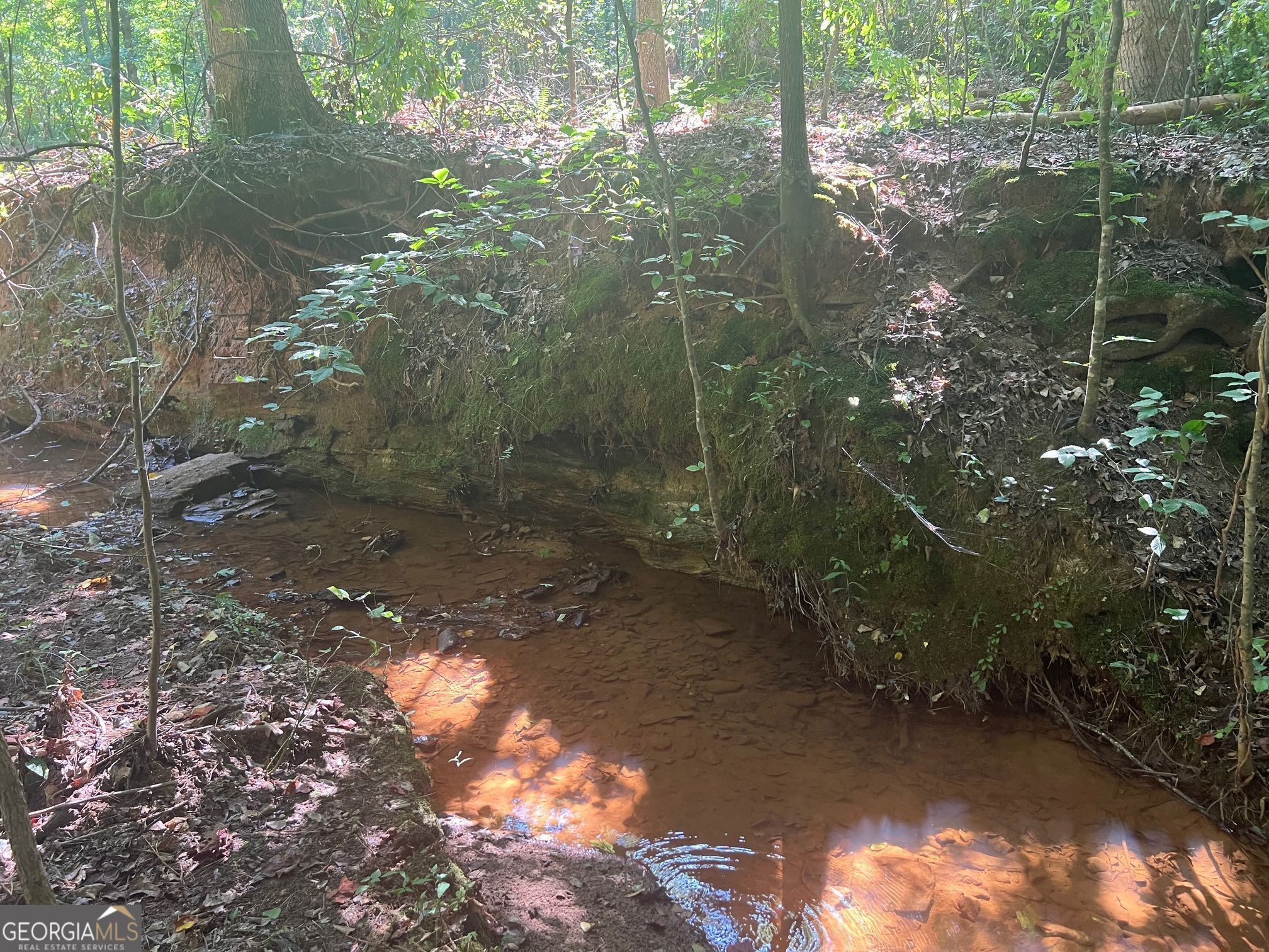 0 Dickson Road Rutledge, GA 30663 - Photo 9 of 46 a backyard of a house